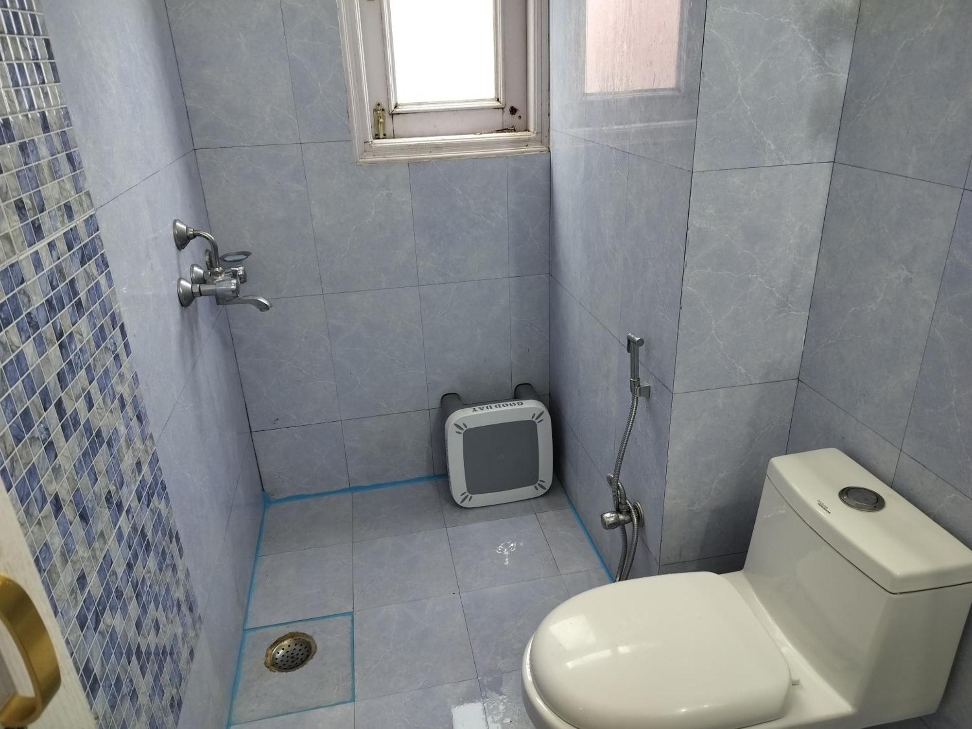 Shimla Vibes B & B Free Pick & Drop From Isbt 심라 외부 사진
