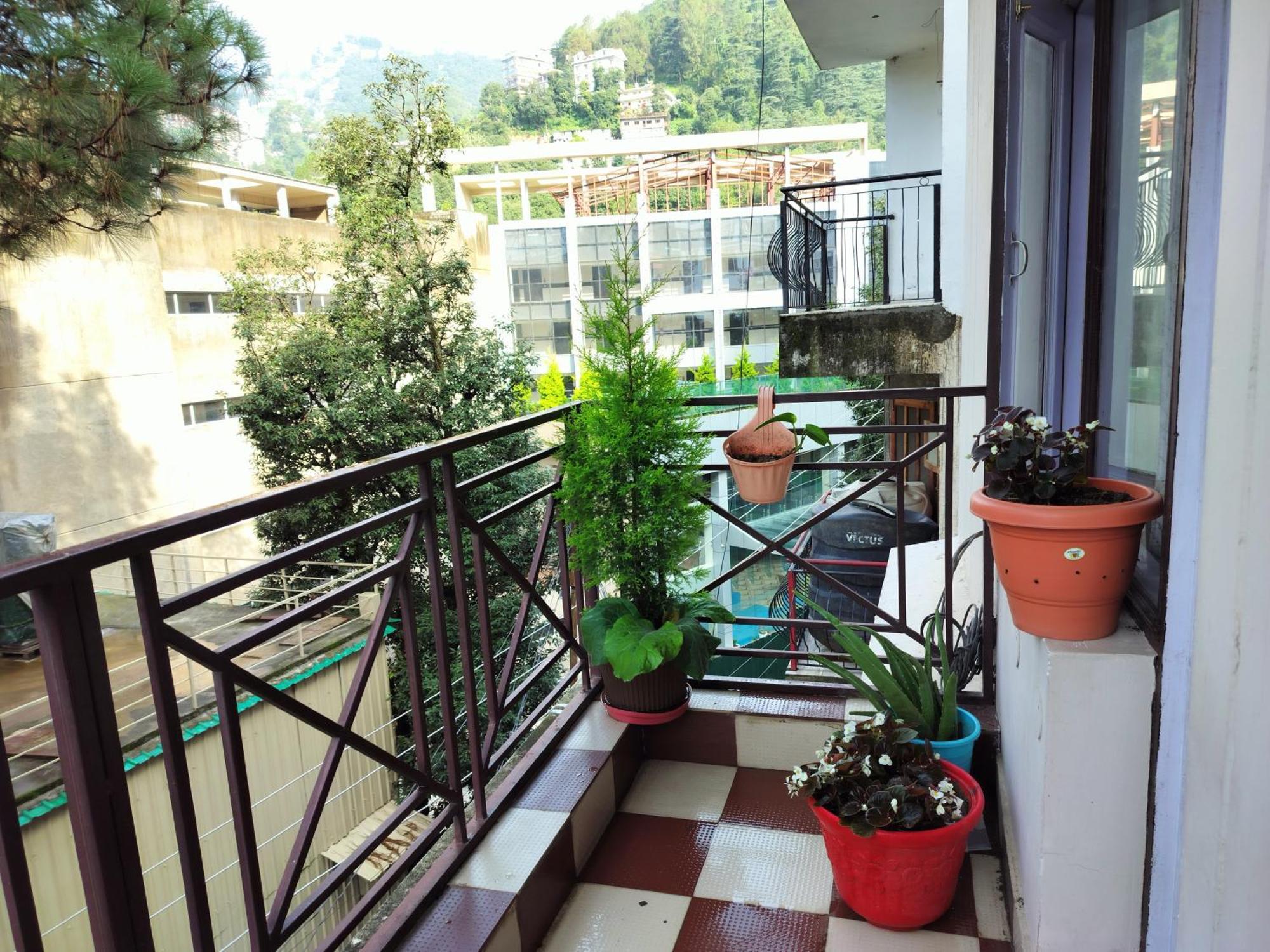 Shimla Vibes B & B Free Pick & Drop From Isbt 심라 외부 사진